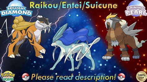 entei raikou suicune|raikou entei origins.